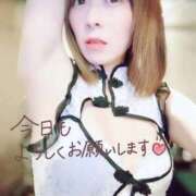 ヒメ日記 2025/11/19 11:55 投稿 ことり 洗練された極上ガール！ ウエスト・コム