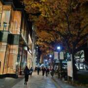 ヒメ日記 2025/11/28 13:47 投稿 ことり 洗練された極上ガール！ ウエスト・コム