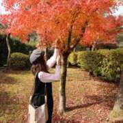 ヒメ日記 2025/11/29 14:13 投稿 ことり 洗練された極上ガール！ ウエスト・コム