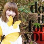 ヒメ日記 2025/12/02 15:45 投稿 ことり 洗練された極上ガール！ ウエスト・コム