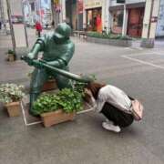 ヒメ日記 2025/12/09 12:35 投稿 ことり 洗練された極上ガール！ ウエスト・コム