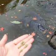 ことり 洗練された極上ガール！ ことりん日記 ウエスト・コム