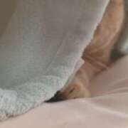 ヒメ日記 2025/12/20 13:05 投稿 ことり 洗練された極上ガール！ ウエスト・コム