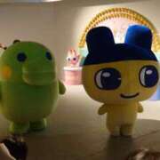 ヒメ日記 2025/12/20 16:20 投稿 ことり 洗練された極上ガール！ ウエスト・コム