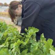 ことり 洗練された極上ガール！ ことりん日記 ウエスト・コム