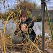 ヒメ日記 2025/12/26 11:31 投稿 ことり 洗練された極上ガール！ ウエスト・コム