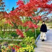 ヒメ日記 2026/01/01 00:17 投稿 ことり 洗練された極上ガール！ ウエスト・コム