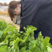 ヒメ日記 2026/01/05 12:35 投稿 ことり 洗練された極上ガール！ ウエスト・コム