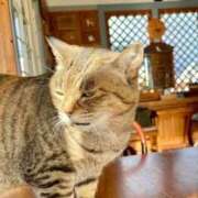 ヒメ日記 2026/01/06 05:55 投稿 ことり 洗練された極上ガール！ ウエスト・コム