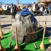 ヒメ日記 2026/01/16 11:05 投稿 ことり 洗練された極上ガール！ ウエスト・コム