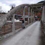 ヒメ日記 2026/01/17 01:35 投稿 ことり 洗練された極上ガール！ ウエスト・コム