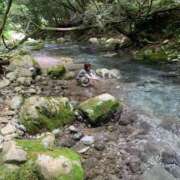 ヒメ日記 2026/02/12 06:15 投稿 ことり 洗練された極上ガール！ ウエスト・コム