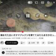 ヒメ日記 2026/02/18 12:35 投稿 ことり 洗練された極上ガール！ ウエスト・コム