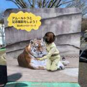 ヒメ日記 2026/02/24 00:15 投稿 ことり 洗練された極上ガール！ ウエスト・コム