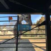 ヒメ日記 2026/02/27 00:25 投稿 ことり 洗練された極上ガール！ ウエスト・コム