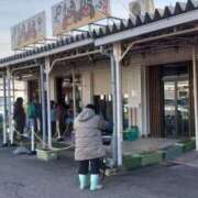 ヒメ日記 2026/02/27 08:55 投稿 ことり 洗練された極上ガール！ ウエスト・コム