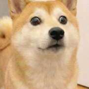 ヒメ日記 2026/03/01 03:05 投稿 ことり 洗練された極上ガール！ ウエスト・コム