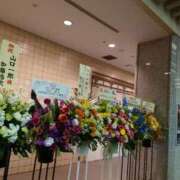 ヒメ日記 2026/03/10 00:31 投稿 ことり 洗練された極上ガール！ ウエスト・コム