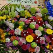 ヒメ日記 2026/03/10 00:35 投稿 ことり 洗練された極上ガール！ ウエスト・コム