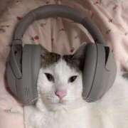 ヒメ日記 2026/03/12 19:45 投稿 ことり 洗練された極上ガール！ ウエスト・コム