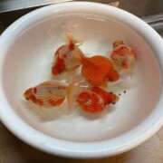 ヒメ日記 2026/03/14 10:31 投稿 ことり 洗練された極上ガール！ ウエスト・コム