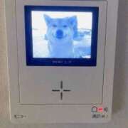 ヒメ日記 2026/03/15 00:26 投稿 ことり 洗練された極上ガール！ ウエスト・コム