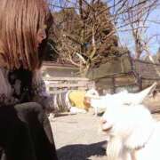 ヒメ日記 2026/03/15 08:55 投稿 ことり 洗練された極上ガール！ ウエスト・コム