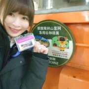 ヒメ日記 2026/03/24 11:20 投稿 ことり 洗練された極上ガール！ ウエスト・コム