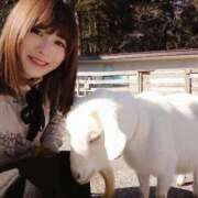 ヒメ日記 2026/03/25 01:05 投稿 ことり 洗練された極上ガール！ ウエスト・コム