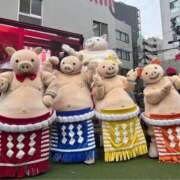 ヒメ日記 2026/05/14 01:05 投稿 ことり 洗練された極上ガール！ ウエスト・コム