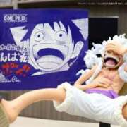 ヒメ日記 2026/07/03 08:15 投稿 ことり 洗練された極上ガール！ ウエスト・コム