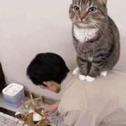 ヒメ日記 2026/07/05 06:25 投稿 ことり 洗練された極上ガール！ ウエスト・コム
