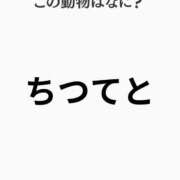 ヒメ日記 2026/07/19 08:15 投稿 ことり 洗練された極上ガール！ ウエスト・コム
