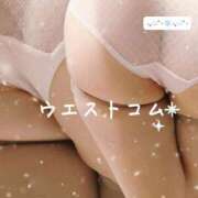 ヒメ日記 2026/08/01 13:31 投稿 ことり 洗練された極上ガール！ ウエスト・コム
