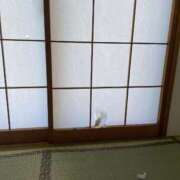 ヒメ日記 2026/08/12 01:00 投稿 ことり 洗練された極上ガール！ ウエスト・コム