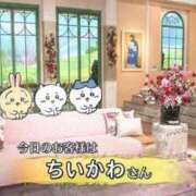 ヒメ日記 2026/09/26 09:15 投稿 ことり 洗練された極上ガール！ WEST・COM（ウエスト・コム）