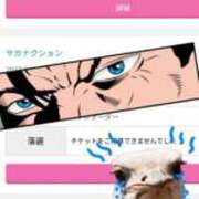 ヒメ日記 2026/10/05 08:55 投稿 ことり 洗練された極上ガール！ WEST・COM（ウエスト・コム）