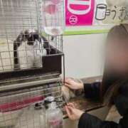 ヒメ日記 2025/12/15 16:23 投稿 せりな 究極カワイイ！ ウエスト・コム