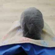 ヒメ日記 2026/01/13 12:17 投稿 せりな 究極カワイイ！ ウエスト・コム