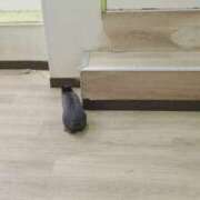 ヒメ日記 2026/01/13 13:05 投稿 せりな 究極カワイイ！ ウエスト・コム