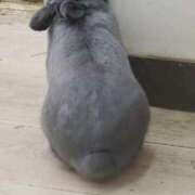 ヒメ日記 2026/01/13 14:15 投稿 せりな 究極カワイイ！ ウエスト・コム