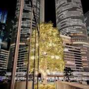 ヒメ日記 2026/01/17 00:15 投稿 せりな 究極カワイイ！ ウエスト・コム