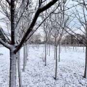 ヒメ日記 2026/02/02 00:05 投稿 せりな 究極カワイイ！ ウエスト・コム