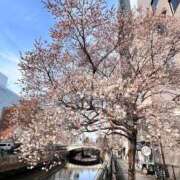 ヒメ日記 2026/02/05 18:54 投稿 せりな 究極カワイイ！ ウエスト・コム