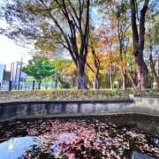 ヒメ日記 2026/02/05 21:45 投稿 せりな 究極カワイイ！ ウエスト・コム