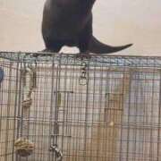 ヒメ日記 2026/03/10 16:45 投稿 せりな 究極カワイイ！ ウエスト・コム