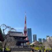 ヒメ日記 2026/03/14 00:14 投稿 せりな 究極カワイイ！ ウエスト・コム