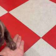 ヒメ日記 2026/03/19 11:55 投稿 せりな 究極カワイイ！ ウエスト・コム