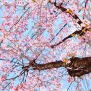 ヒメ日記 2026/03/23 00:21 投稿 せりな 究極カワイイ！ ウエスト・コム