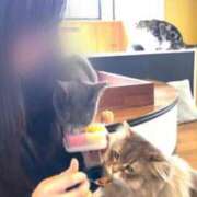 ヒメ日記 2026/03/24 00:15 投稿 せりな 究極カワイイ！ ウエスト・コム